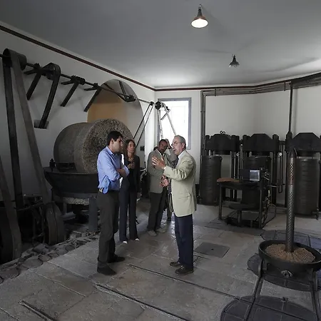 Feriegård Terre Di Traiano