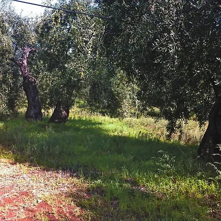 Feriegård Terre Di Traiano Montegrosso