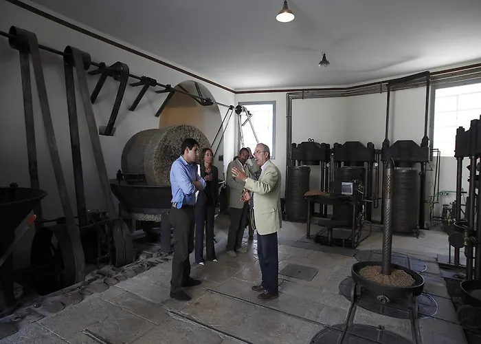 Feriegård Terre Di Traiano