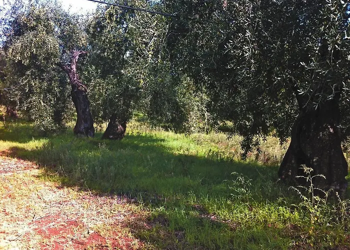 Feriegård Terre Di Traiano Montegrosso